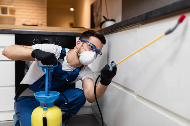 Best Cockroach Control Services  in Lakeland Village, CA