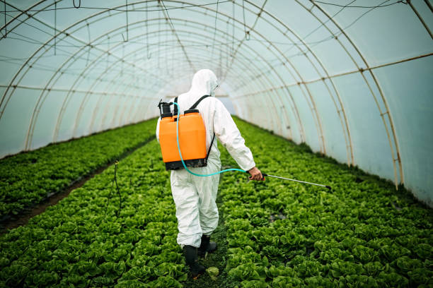 Trusted Lakeland Village, CA Pest Control Experts