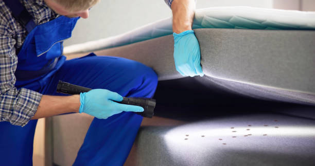 Best Pest Prevention Services  in Lakeland Village, CA